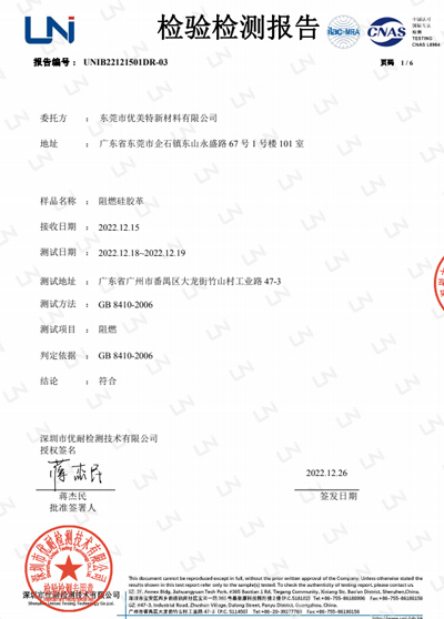 Test report 7