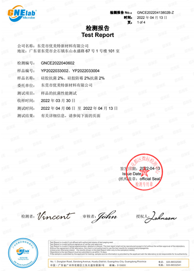Test report 5