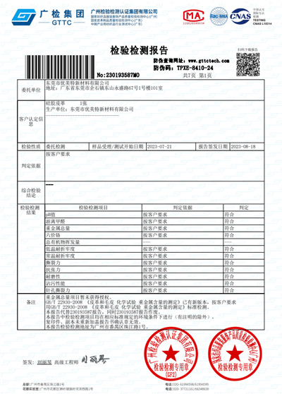 Test report 1